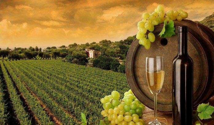 Top 10 Tuscany Wineries Vineyards Top 10 Tuscany Wineries Vineyards